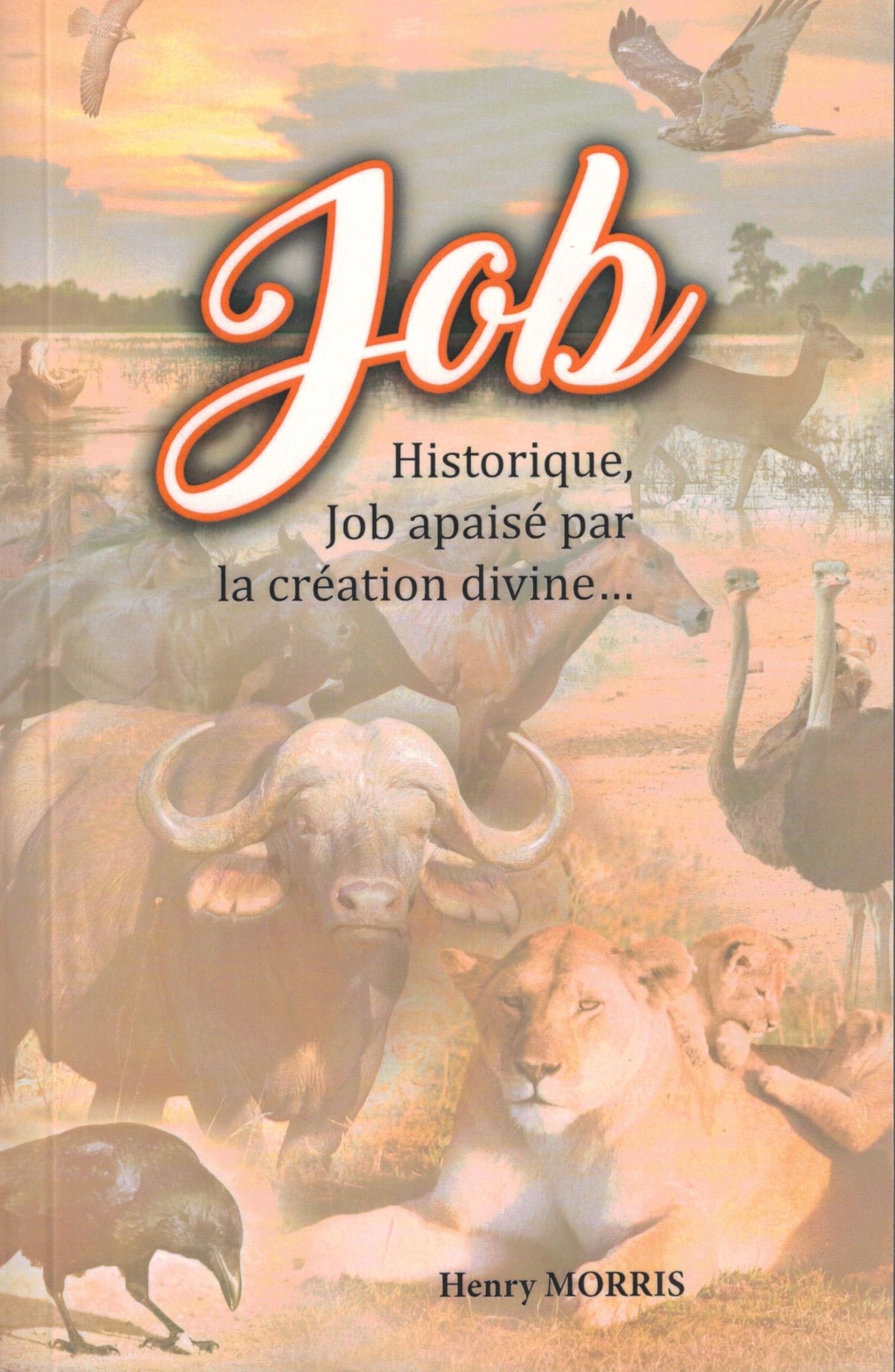 Job - Historique, Job apaisé par la création divine...