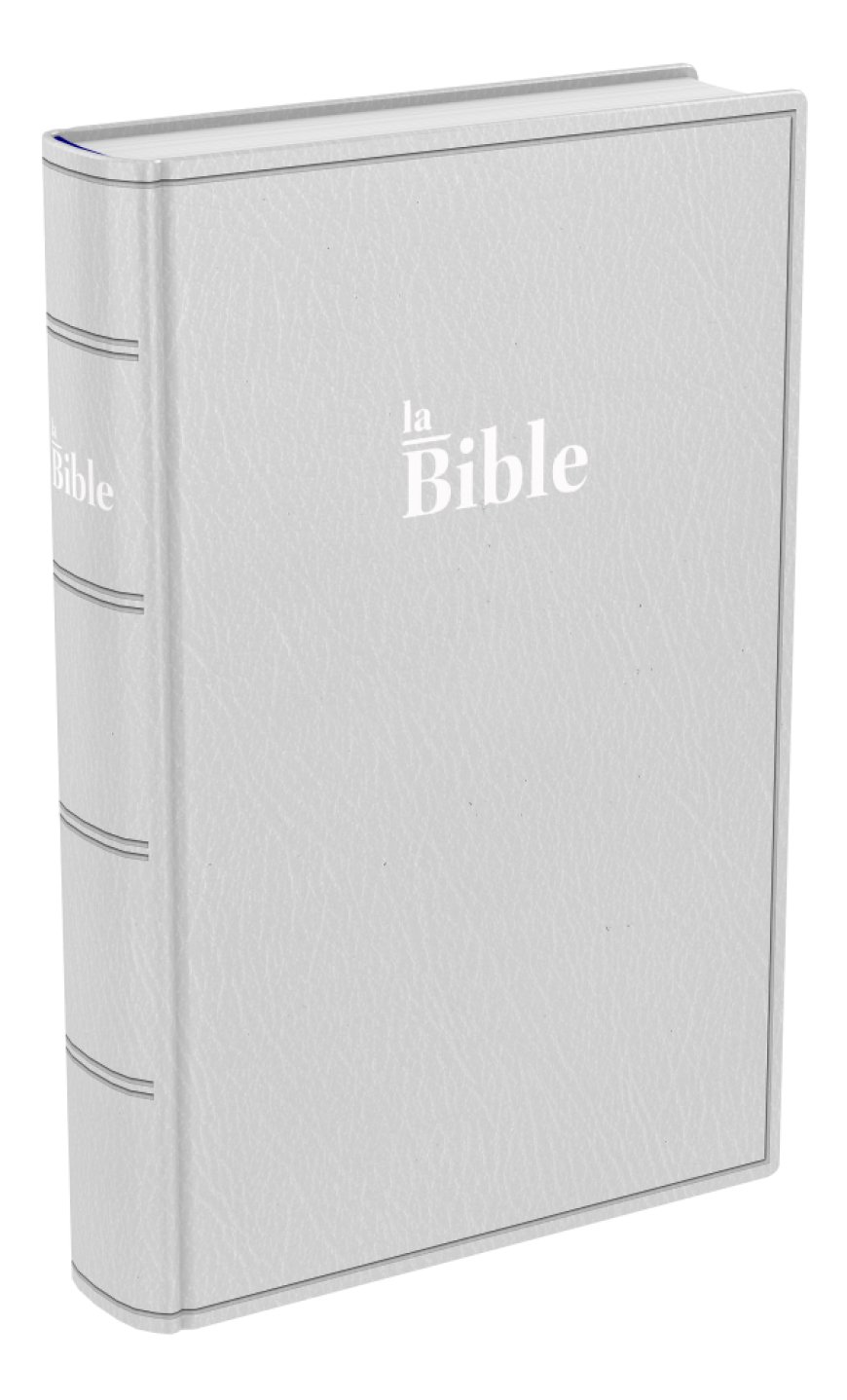 Bible Darby format compact souple grise