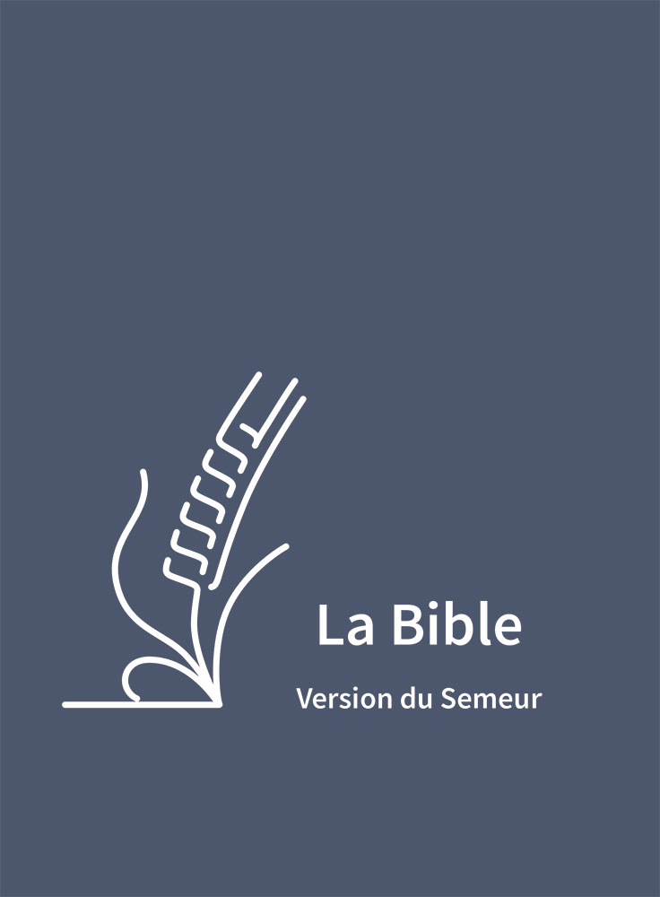 Bible Semeur 2015 rigide bleu marine