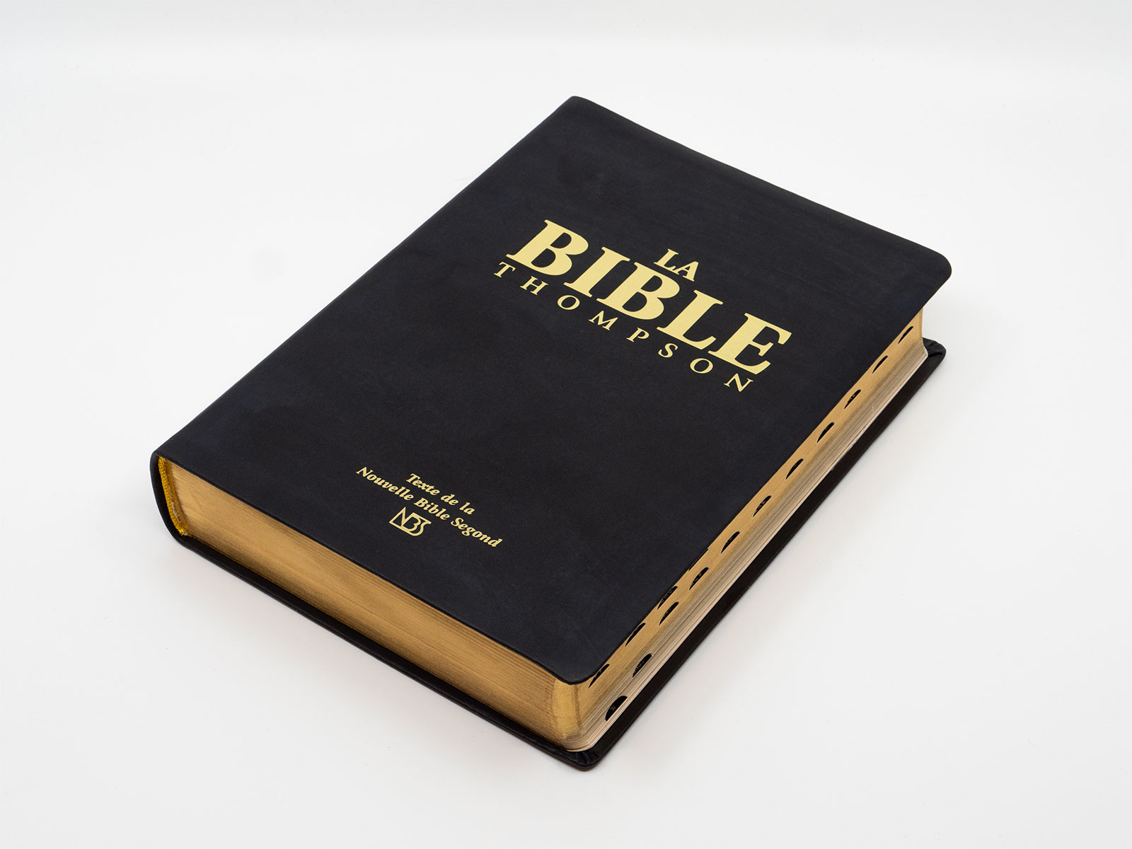 Image #1 du produit Bible Thompson NBS souple onglets