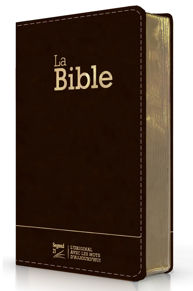 Bible SG 21 compacte souple CUIR anthracite