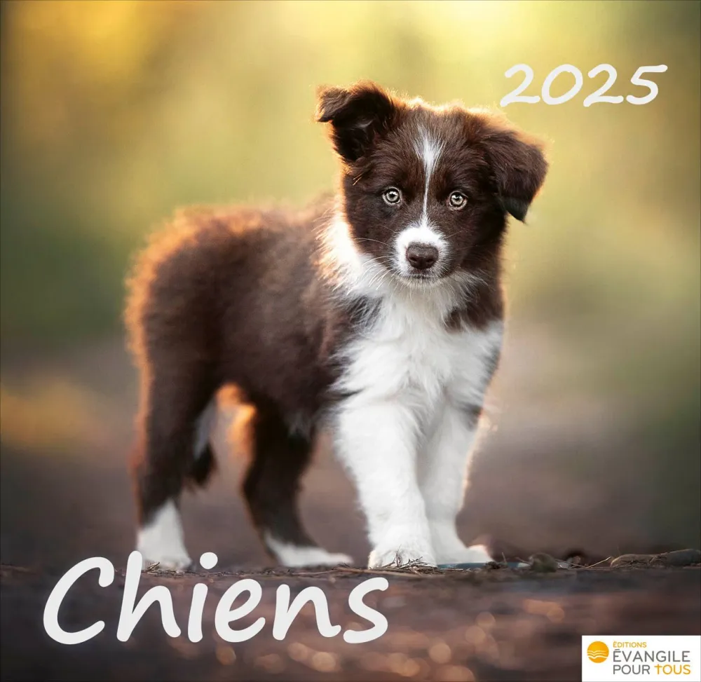 Chiens 2025