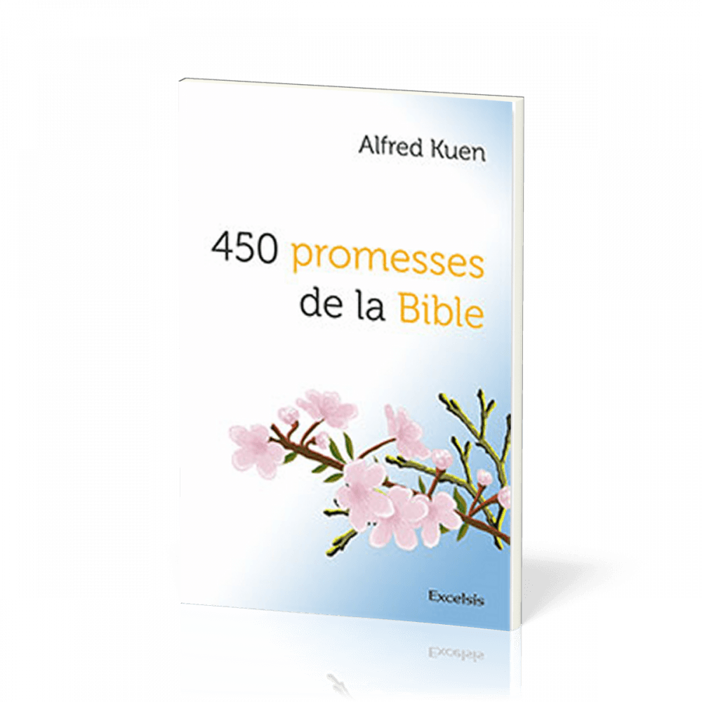 Image #1 du produit 450 promesses de la Bible