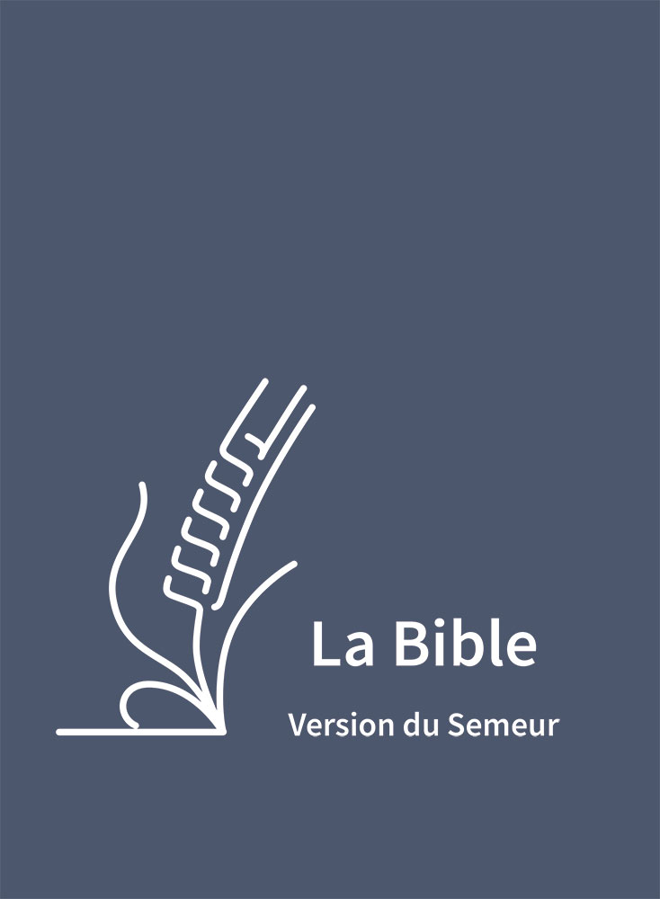 Bible Semeur gros caractères semi-souple textile bleu