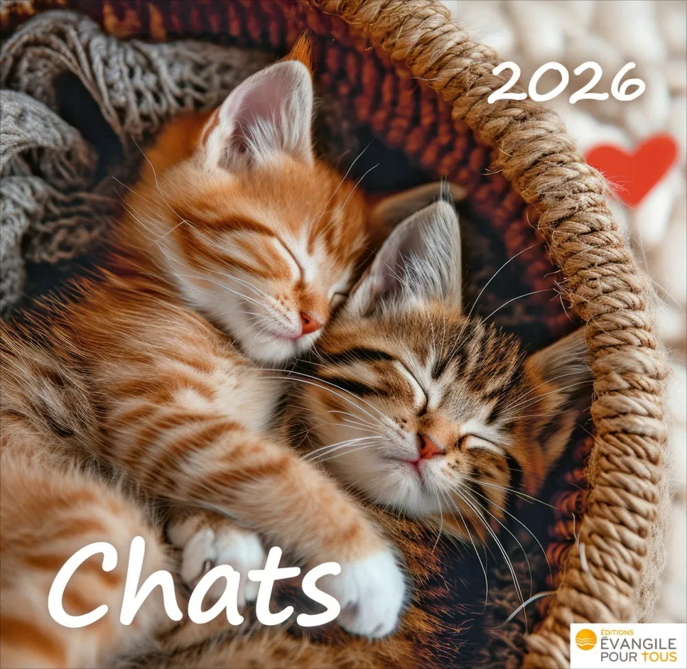 Chats 2026