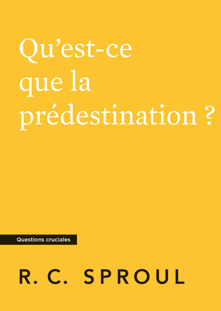 Image #0 du produit Qu'est-ce que la prédestination ?