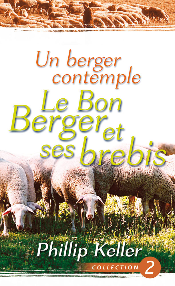 Un berger contemple le Bon Berger et ses brebis