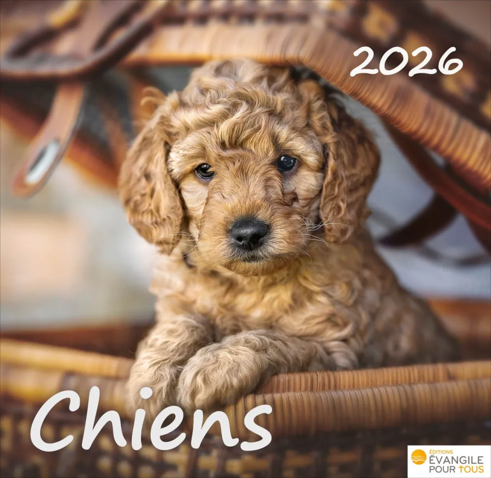 Chiens 2026