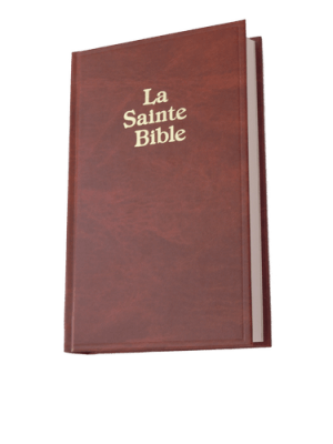 Bible Darby petit format marron