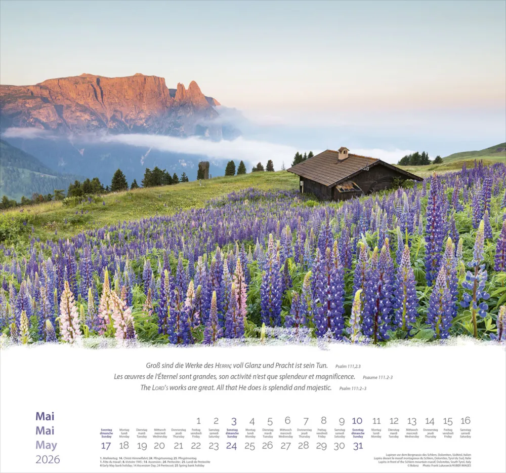 Image #1 du produit Montagnes trilingue 2026
