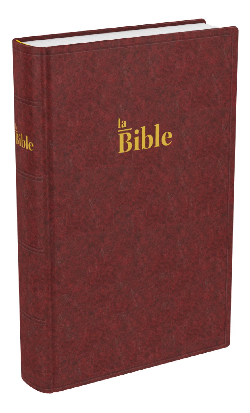 Bible Darby compacte rigide brun rouge