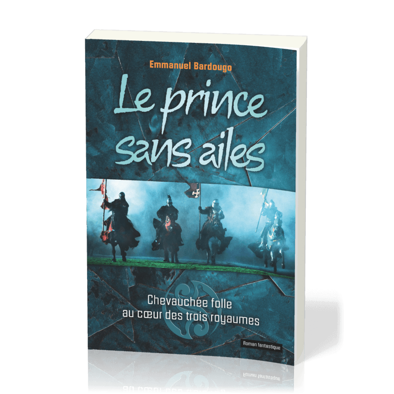 Image #1 du produit Le prince sans ailes