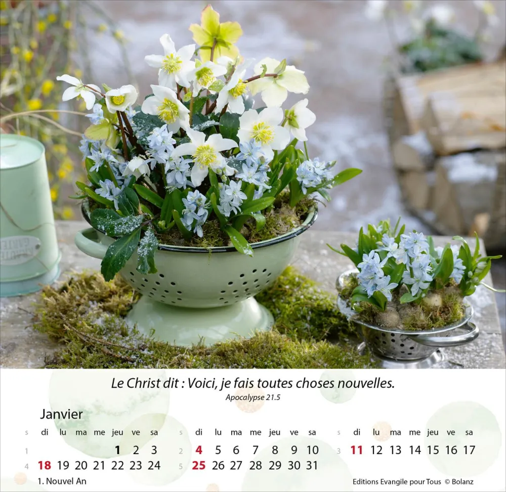 Image #1 du produit Jardins 2026