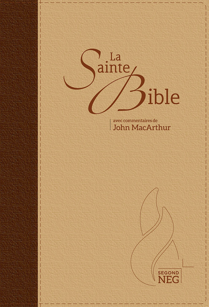 Image #0 du produit Bible d'étude NEG MacArthur duo marron