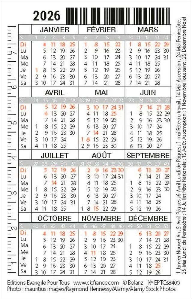Image #1 du produit Carte-calendrier Oiseau 2026