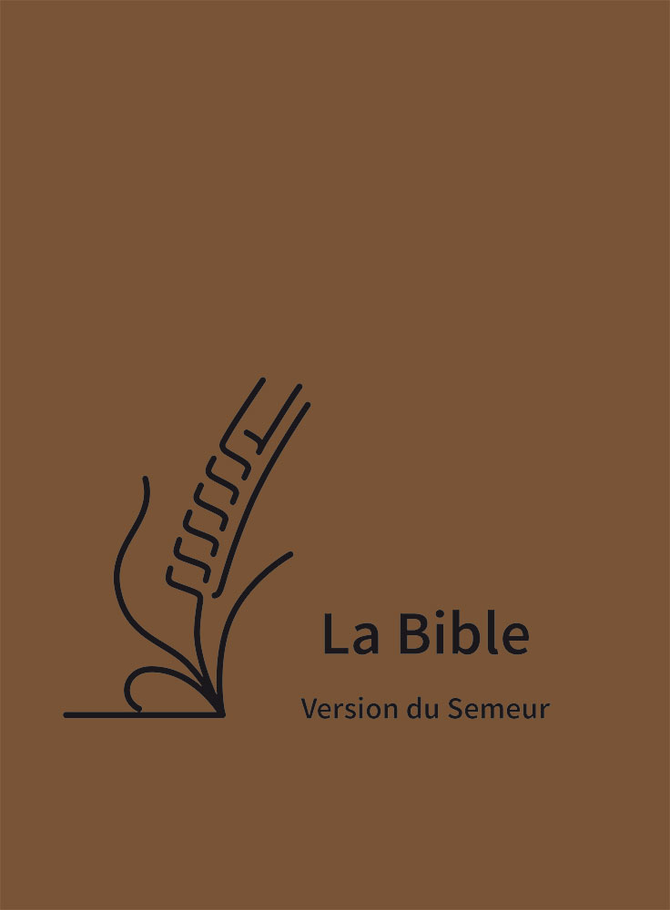 Bible Semeur 2015 rigide marron