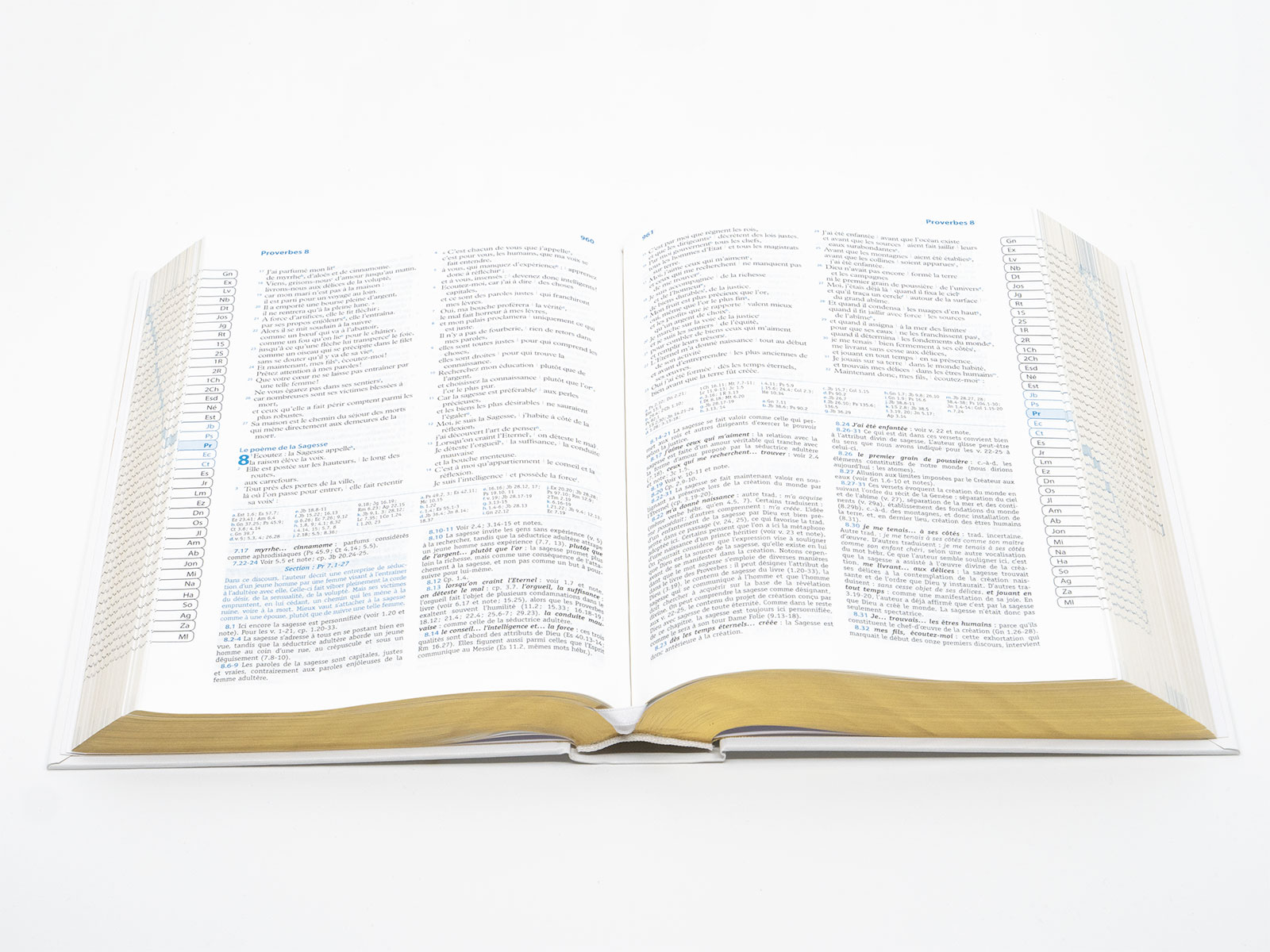 Image #3 du produit Bible Semeur d'étude 2015 rigide blanche