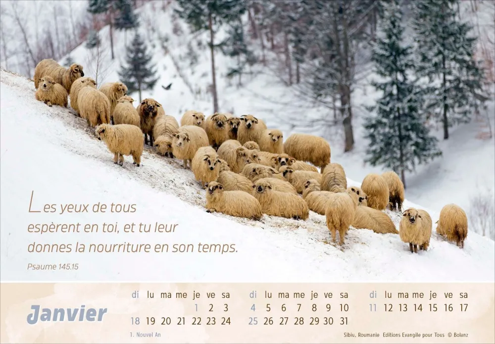 Image #1 du produit Le Bon Berger 2026