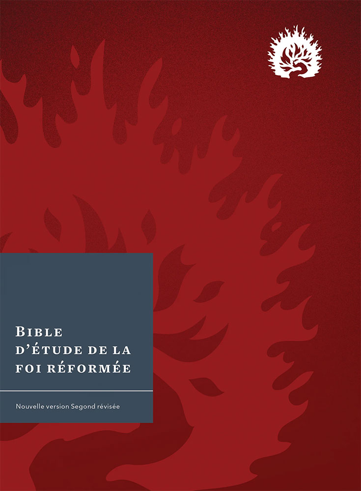 Image #0 du produit Bible d'étude de la foi réformée rigide