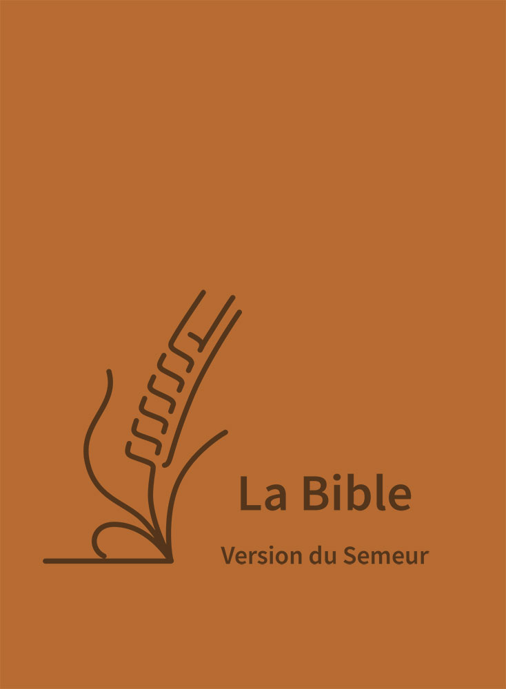 Bible Semeur gros caractères textile semi-souple brun foncé