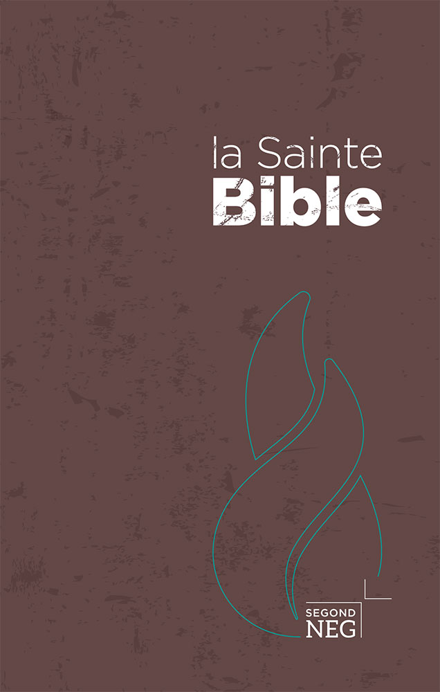 Bible NEG compacte rigide brune