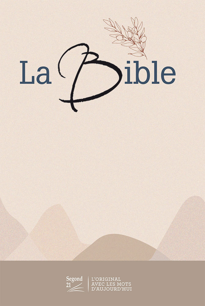 Image #0 du produit Bible SG 21 gros caractères rigide toilé matelassé