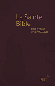 Image #0 du produit Bible d'étude NEG à parallèles souple bordeaux