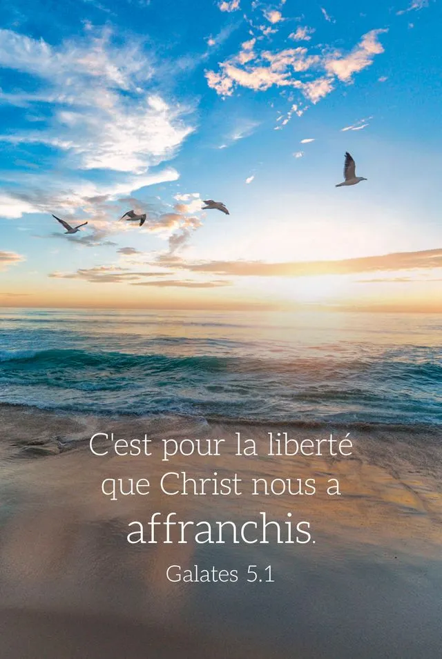 Carte-calendrier Paysage 2026