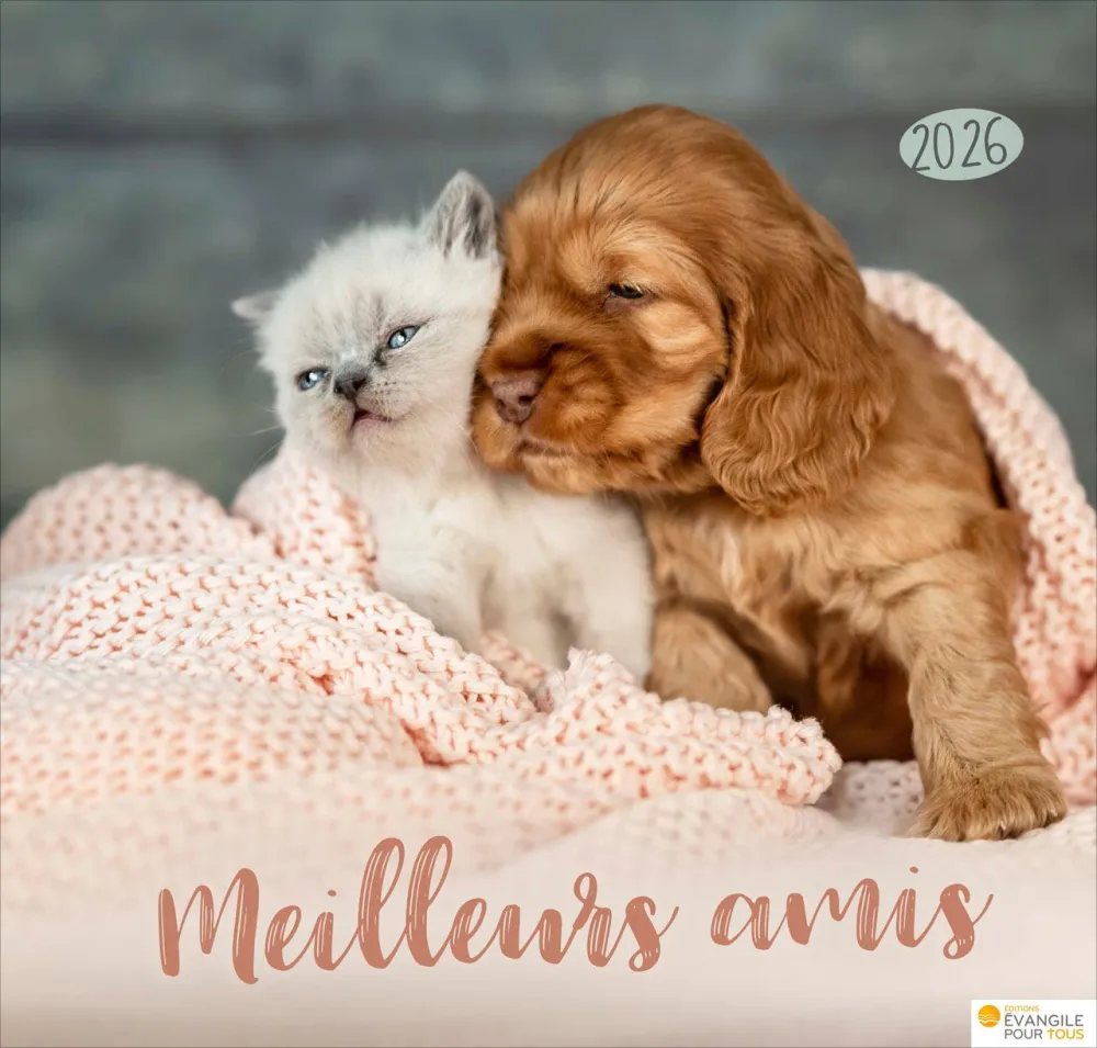 Meilleurs amis 2026