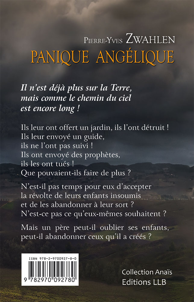Image #1 du produit Panique angélique tome 3