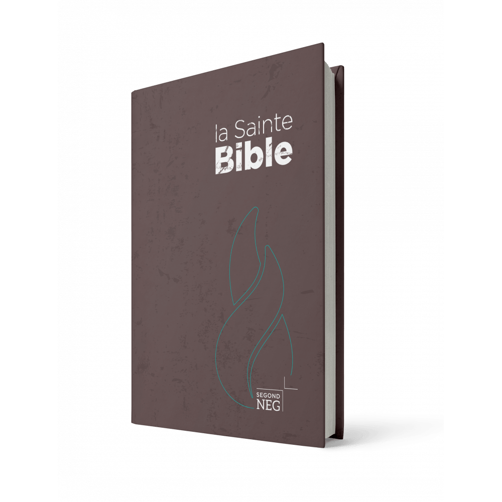 Image #1 du produit Bible NEG compacte rigide brune