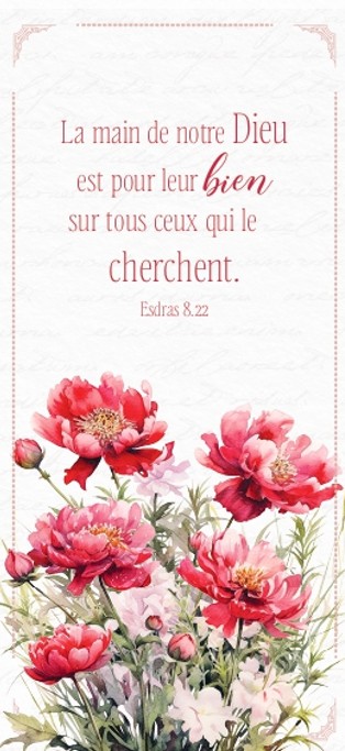 «La main de notre Dieu est pour le bien de ceux qui le cherchent.»