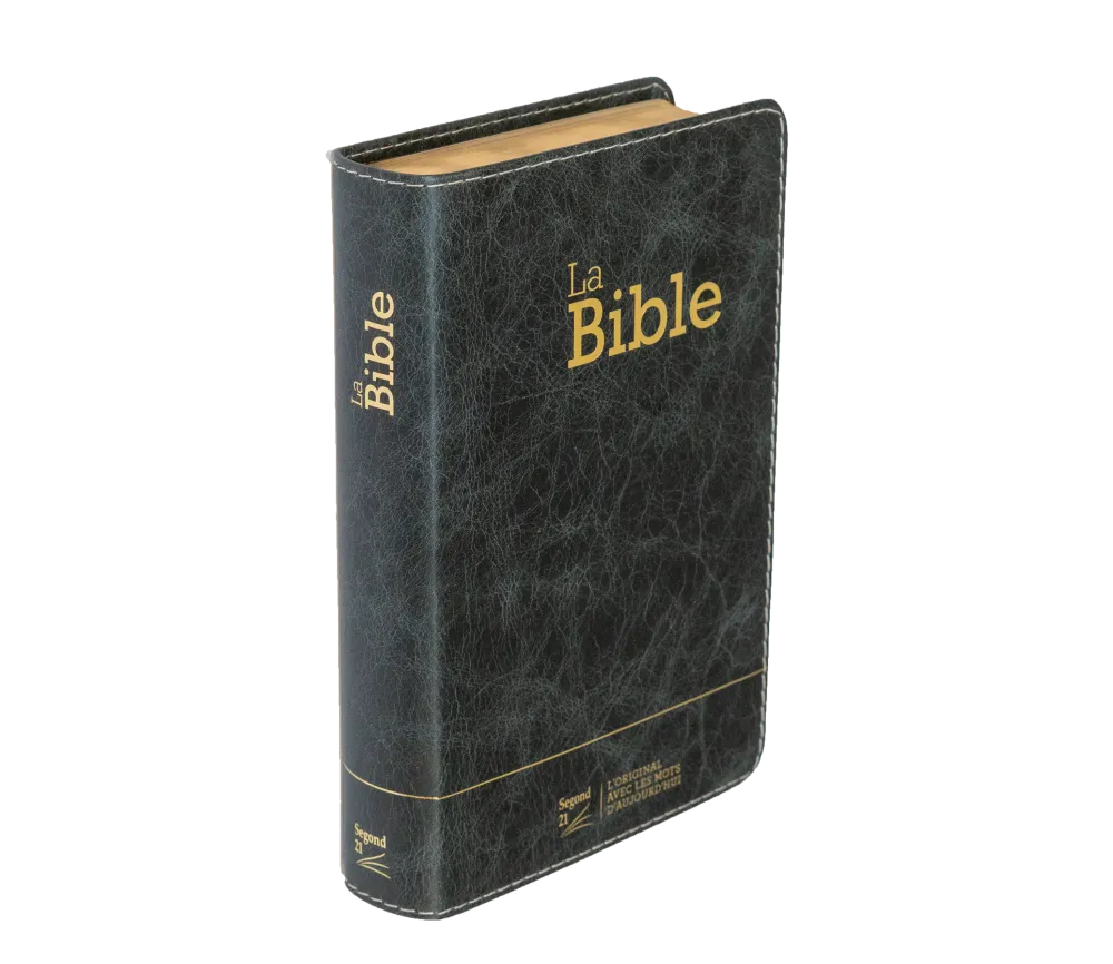 Image #1 du produit Bible SG 21 compacte souple CUIR anthracite