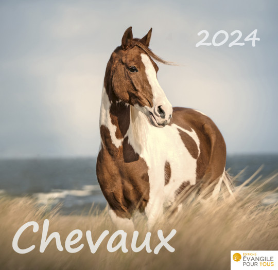 Le calendrier des Chevaux 2020 - XXX - Le Bateau Livre