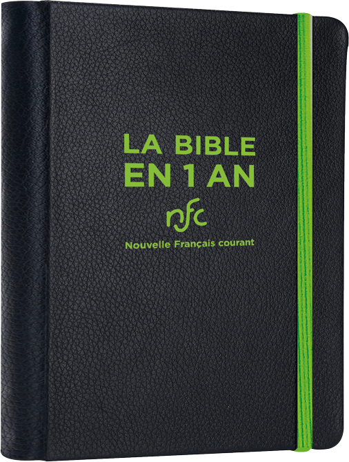 Image #0 du produit La Bible en 1 an (NFC)