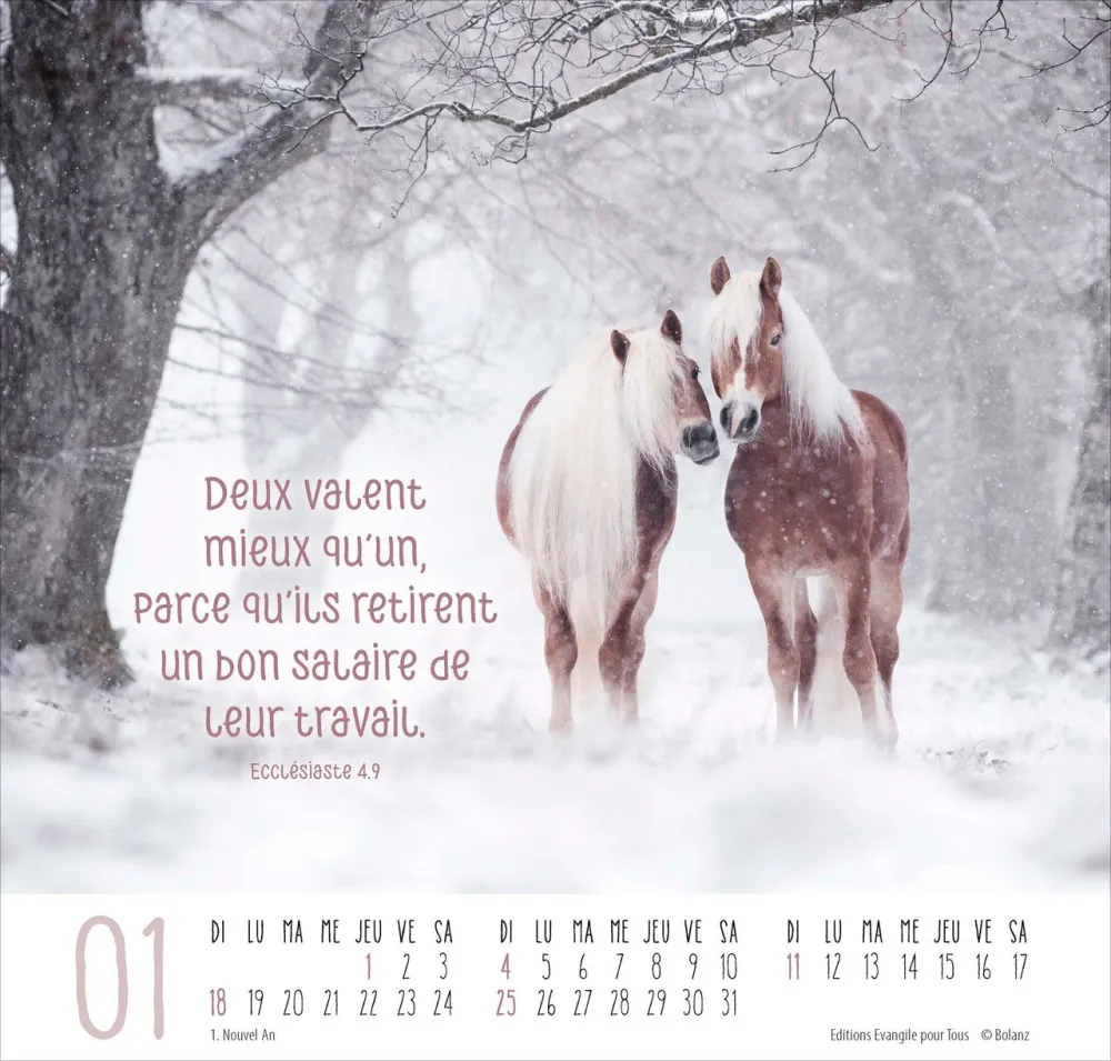 Image #1 du produit Meilleurs amis 2026
