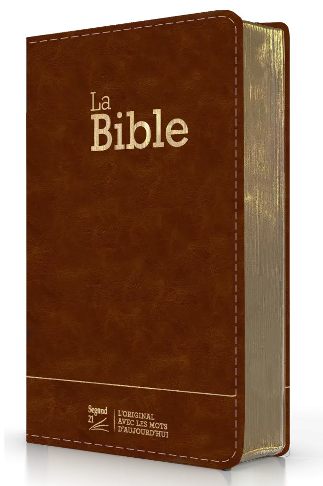 Bible SG 21 compacte souple CUIR brun