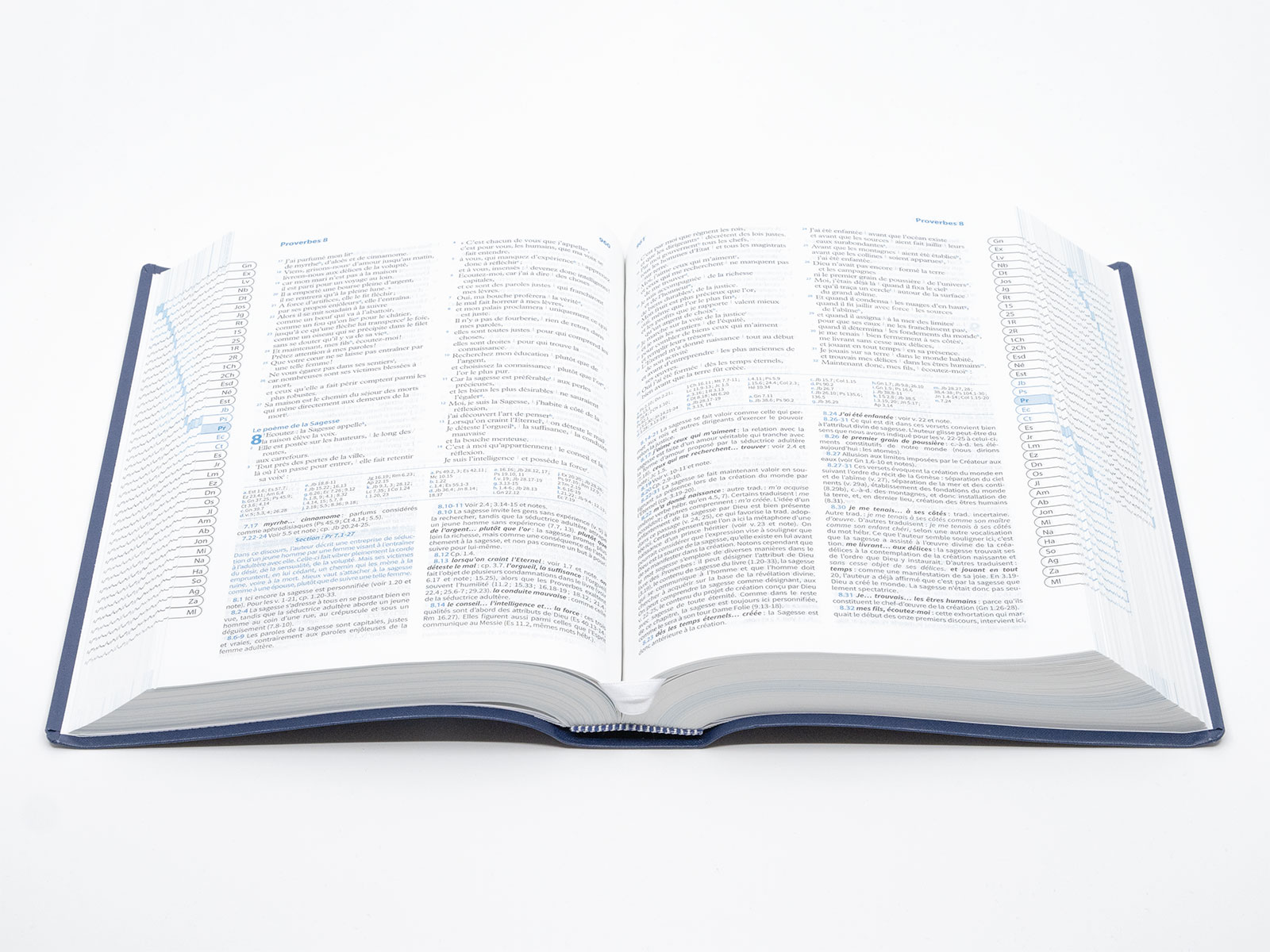 Image #2 du produit Bible d'étude Semeur 2015 souple bleue