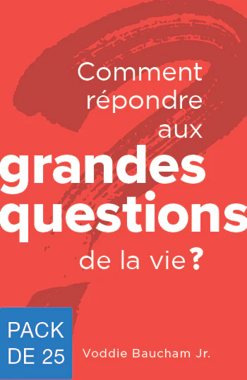 Image #0 du produit Comment répondre aux grandes questions de la vie ?