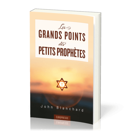 Les grands points des petits prophètes