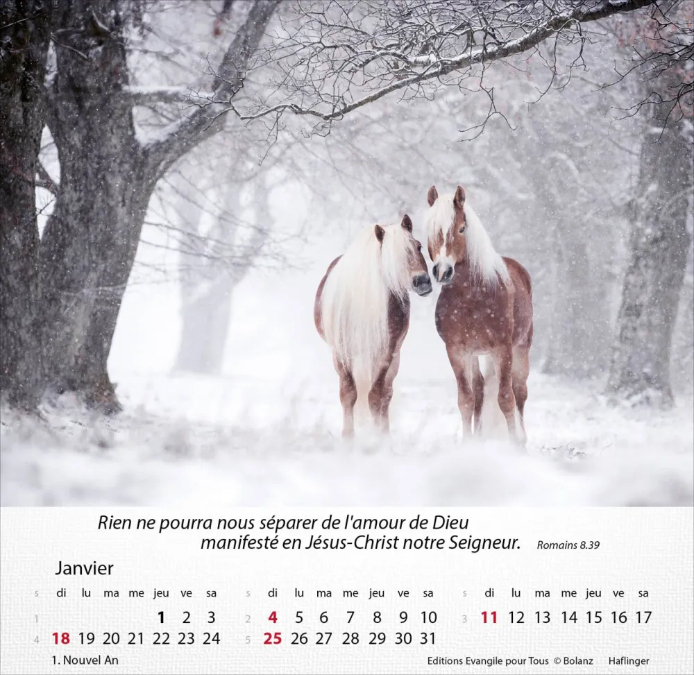 Image #1 du produit Chevaux 2026
