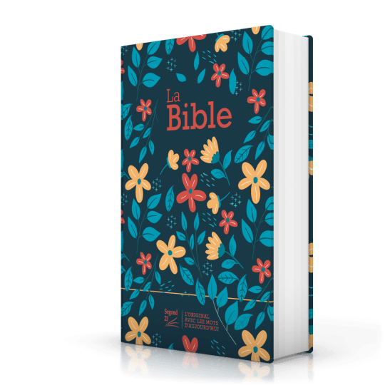 Produit - Bible SG 21 rigide Skivertex rose