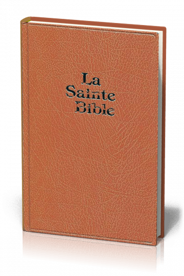 Produit Bible Darby gros caract res brun Librairie chr tienne