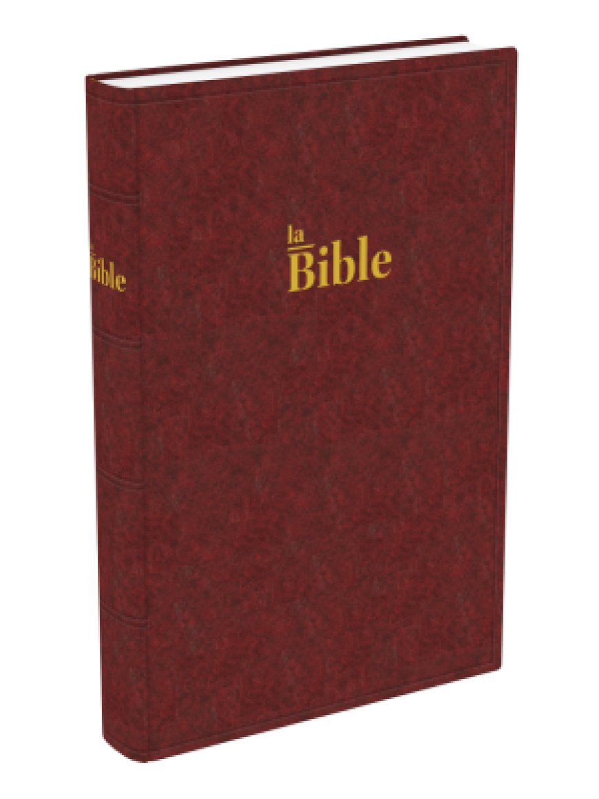 Bible Darby grand format rigide brun rouge