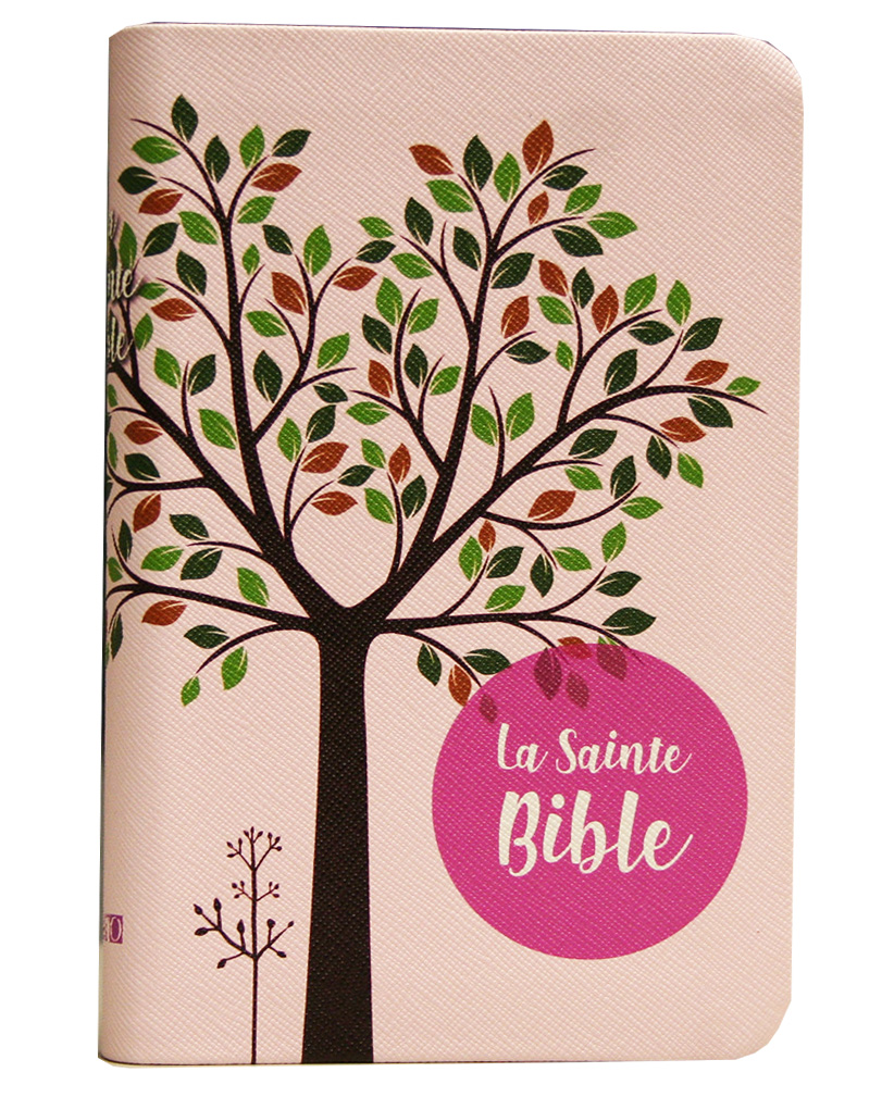 Image #1 du produit Bible SG 1910 compacte rose tranche or