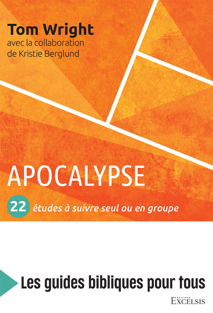 Image #0 du produit Apocalypse - 22 études