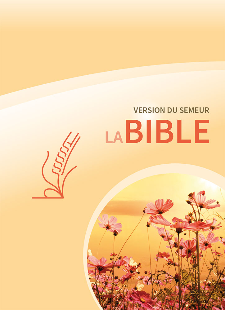 Bible Semeur 2015 rigide jaune illustrée