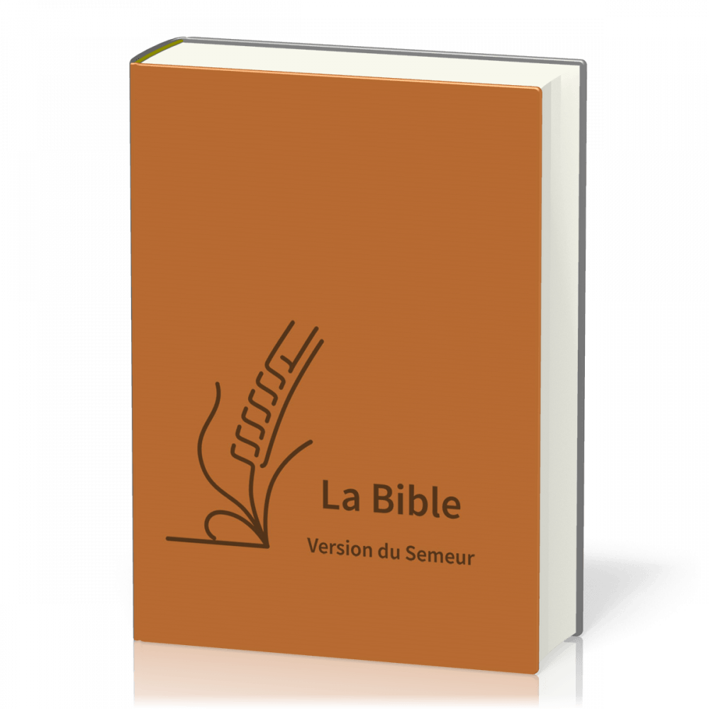 Image #1 du produit Bible Semeur gros caractères textile semi-souple brun foncé