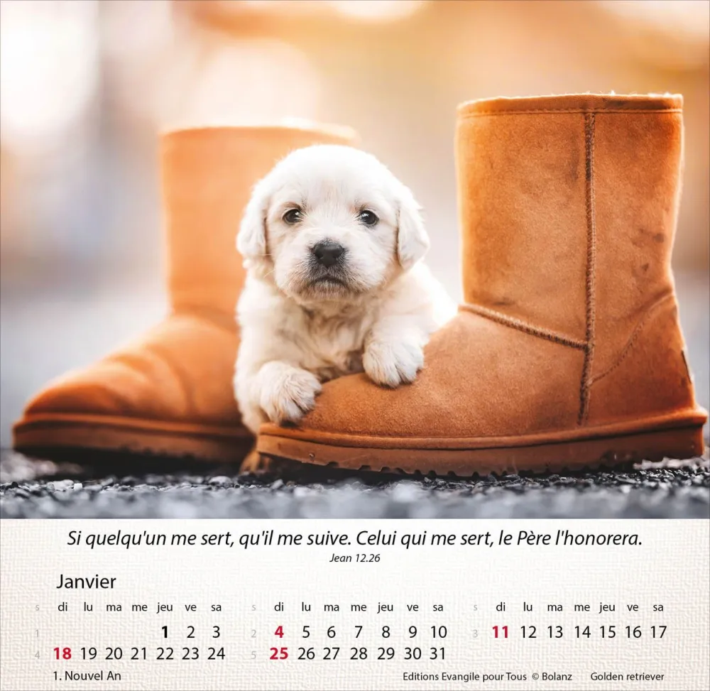 Image #1 du produit Chiens 2026