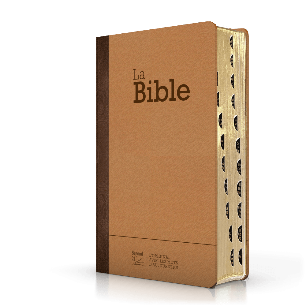 Bible SG 21 compacte semi-rigide duo brun fibrocuir et cuir véritable